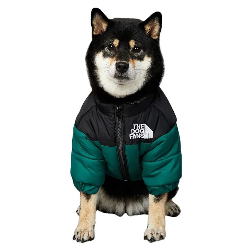 IJacket yePet encinci kunye neBig Dog Coat Dog Dog